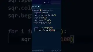 Draw a Red colored Square using Python Turtle | Very EASY