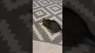 игра в кальмара 🦑 