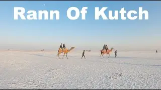 Rann Of Kutch | Kalo Dungar | Homstay In Rann Of Kutch | Gujarat Tourism | Manish Solanki Vlogs