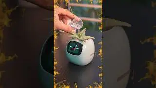 World's Most Expensive Smart Flower Pot! #shorts