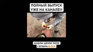 СЕРЕБРЯНОЕ ПОЛЕ!!! #metaldetecting #поисксметаллоискателем #коп #клад #раскопки