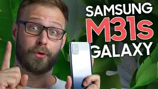 Galaxy M31s — новый юнец в сильном прайде! | Зверообзор Samsung Galaxy M31s