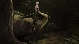 The Most Terrifying Island To Ever Exist