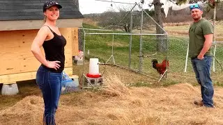 DIY Chicken Coop BUILD From Start To Finish - Part 3 | Maple Syrup | New Chickens | Crock Pot Supper