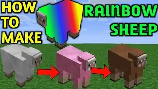 How To Make Rainbow/Color Changing Sheep In MINECRAFT Pocket edition||Colorful Sheep Trick||onevfour