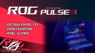 Новый Battlefield, Metal Gear Solid 3 Remake, Indiana Jones, Assassin's Creed / ROG PULSE [20.09.24]