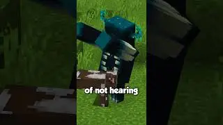 Minecraft Facts That You Probably Didn't Know (part 30) 
