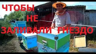 Как предотвратить заливку гнезда мёдом? Карника. Южный Урал