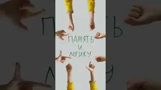 Что нужно развивать у ребенка дошкольного возраста?