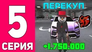 ПЕРЕКУП НА БЛЕК РАША #5 - +2кк НА ПЕРЕПРОДАЖЕ АКСОВ в BLACK RUSSIA