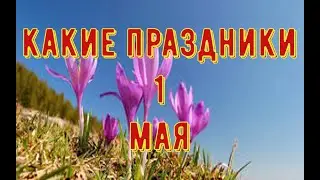 какой сегодня праздник? \ 1 мая \ праздник каждый день \ праздник к нам приходит \ есть повод