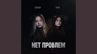 Нет проблем