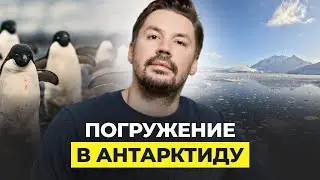 АНТАРКТИДА: ПОДВОДНАЯ ПРОГУЛКА И МИЛЫЕ ПИНГВИНЫ