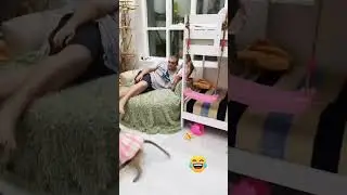 Квадробер и гамадрил🤣это нужно видеть ❗️