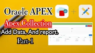 How to use the Apex collection and create a report  Part 1
