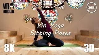 Yoga VR - Yin Sitting Poses with Anna (short) - 8K 360 3D Video