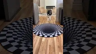 Dogs funny reaction to entering optical illusion rug! 