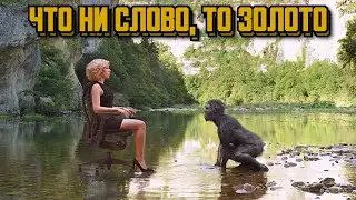 Что ни слово, то ЗОЛОТО • Марго Робби