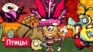 Всё о Птицах в Don't Starve.