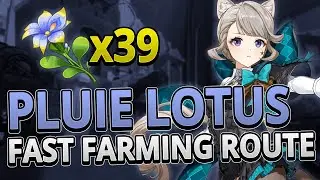 Pluie Lotus 39 Locations FAST FARMING ROUTE | Genshin Impact 4.0