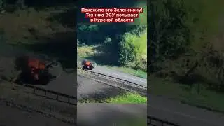 Покажите это Зеленскому! Техника ВСУ полыхает в Курской области