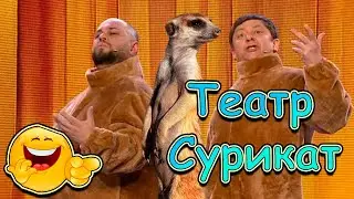 ТЕАТР СУРИКАТ😅👌