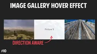 Image Gallery Hover Effect | HTML, CSS, jQuery Tutorial