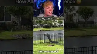 Man Runs Away From Bear! 😨