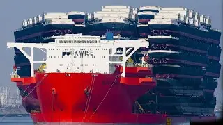 Shipping Ships That SHIP Shipping Ships - Why Do They Exist?