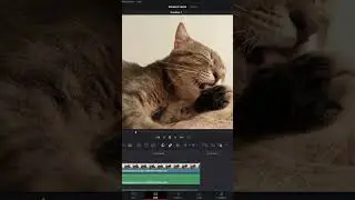 Freeze Frame DaVinci Resolve (2 Methods) | 2024 