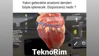 Yakın Gelecekte Anotomi Dersleri Üç Boyutlu Hologram Teknolojisi Sayesinde Böyle İşlenecek