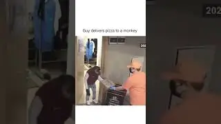 Guy delivers pizza to a monkey