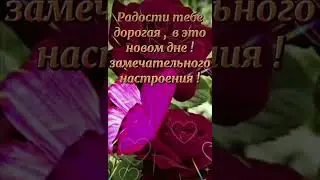 Доброе Утро !!!