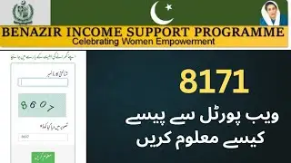 How to check BISP money#8171 web portal#BISP#MWN0.3#Ehsaas Program#govt programs