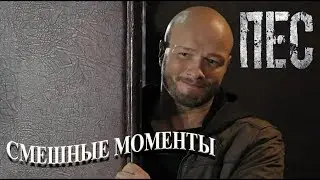 Пёс (смешные моменты)