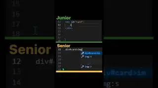 Junior vs senior developer | web development 