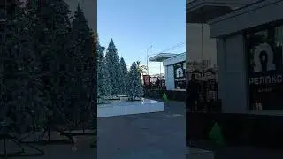 Новогодний Сочи. У вокзала. 
