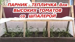 ПАРНИК  со ШПАЛЕРОЙ для ВЫСОКОРОСЛЫХ ТОМАТОВ -  ДЕШЕВО  и СЕРДИТО