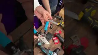 Секатор для подрезки короны нашему ведущему при посещении выставок предоставила MAKITA!