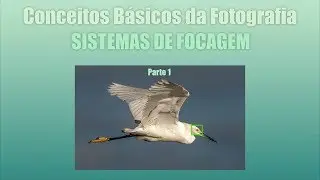 Episódio #9 - Conceitos Básicos da Fotografia: Sistema de Focagem
