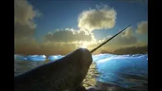 Ark Taming Series Ep. 127 | NARWHAL | Additional Creatures 2: Wild Ark | GUIDE