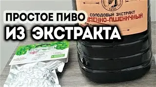 Решил сварить пиво из солодового экстракта с хмелем Каскад. Рецепт простого пива для новичков