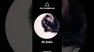 Pedro Dancing Raccoon 8D Audio #8DAudio #Pedro #Raccoon