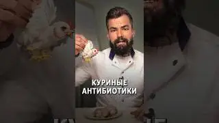 Куриные антибиотики