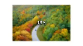 Image Loading Blur Effect | HTML, CSS & Javascript