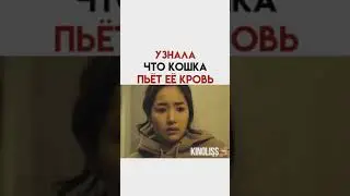 УЗНАЛА ЧТО КОШКА ПЬЁТ ЕЁ КРОВЬ