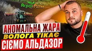 АНОМАЛЬНА ЖАРА,ВОЛОГА ТІКАЄ:СІЄМО АЛЬДАЗОР.ГУСТОТА,ЛАЙФХАКИ,ДОБРИВО,ГЛИБИНА ПОСІВУ.