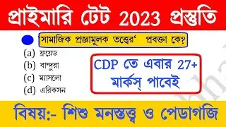 primary tet preparation 2023 | wb primary tet preparation 2023 | primary tet cdp class