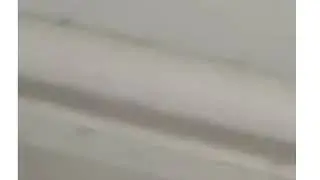 Видео приколы с WhatsApp