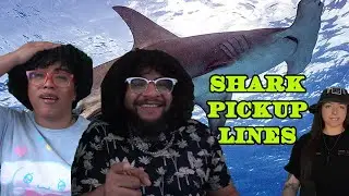 Shark Facts You Can Use As Pickup Lines! | Lindsay Nikole Reaction